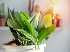 Lọc khí và khử mùi